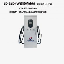 ܵ綯Դٳ60/80/100/120/320kWֱ׮ ˫ǹӽɨ׮