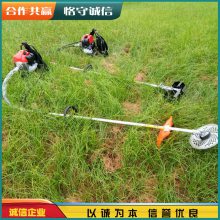 二冲程汽油打草机 宏晨果园背负式除草机 背负式开沟旋耕机