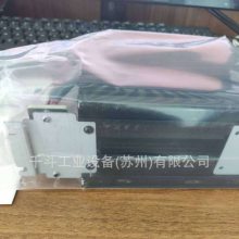 PIONPION-D1W-110-00ɿعԴ