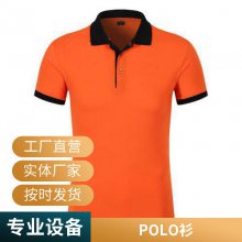 T polo Ļ ٸɹ ˮ