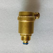ZP88-1AA ˮˮԶͭDN15BSP
