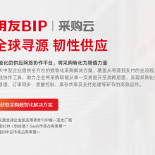 BIPɹ/Ѳɹϵͳ/Ӧϵͳ