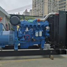 YC6K500-D30ͻ 300KW