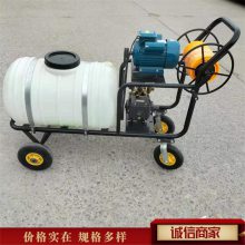 烟台加长药管汽油打药机 宏晨苹果树喷药机型号 200升养殖场消毒机