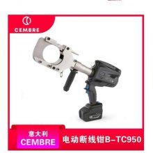 CEMBRE B-TC950 ʽҺѹе