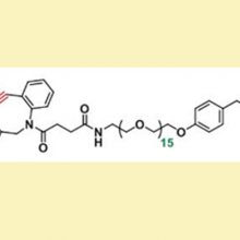 西安供应商DBCO-PEG16-Benzylamine苄胺,小分子PEG点击试剂