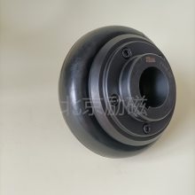 martin martin Flex F120J