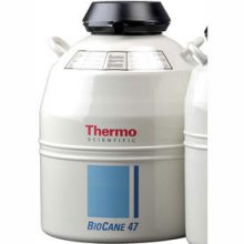 Thermo BioCane47Һ