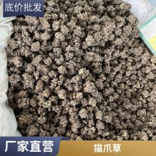 èצҩ èצ 汣 500g