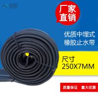 供应651型中埋式250X7MM止水带