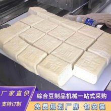 高效自动冲浆豆腐机 大型嫩豆腐机生产厂家 豆制品机械设备