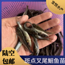 βt籨2021βŻ泡һֱ
