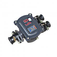 低压电缆接线盒 强度大BHD2-10/127-36G矿用隔爆型低压电缆接线盒