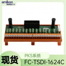 г:FC-TSDI-1624ģFTAʡ