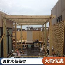 园林景观葡萄架庭院防腐木户外碳化木廊架花架架子花园长廊简易爬藤架