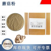 蘑菇粉 脱水蔬菜粉 调味酱烘焙原料 厂家现货 1kg起批