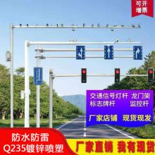 交通热镀锌监控杆3米4米不锈钢监控立杆道路小区组合式T型球机视频摄像防雷