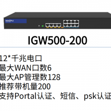 ƹں IGW500-200