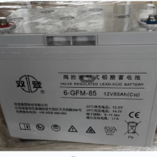 ˫ ܷʽǦά 6-GFM-80C10