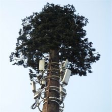 ź 5gͨ ɭּ˾