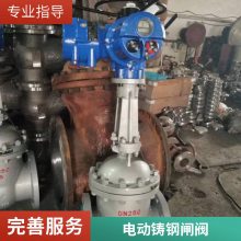 DN100͵綯բ Z941H-16C DN200һ廯ܵ