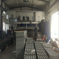СС绯Сں֬߳