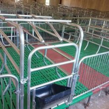 母猪产床设备分娩床保育两用一体猪用养殖限位栏 复合板漏粪板