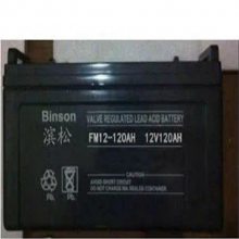 BINSONBS200-12 12V200AH άǦ ܷʽ