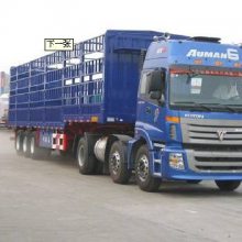 ³ľ뵽칫· ºͨ˹˾_Ϸ