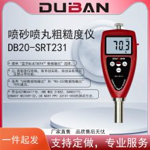 喷砂喷丸粗糙度仪 DB20-SRT231