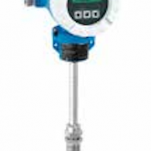 E+H˹˹Proline T-mass 65F 