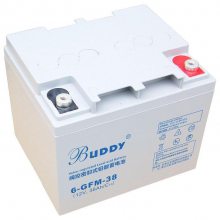 BUDDY GFM-1000 ֱ2V1000AH  UPSӦ