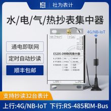 水电气热抄表集中器NB-IoT/GPRS(4G)无线远程物联网智能抄表采集管理终端ES205-D