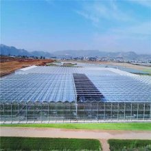 生态玻璃温室造价 潍坊农业大棚公司 扛寒效果强 鲁苗
