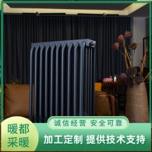 ů ޷컡ůƬ YGH-V-1800˫满ɢ
