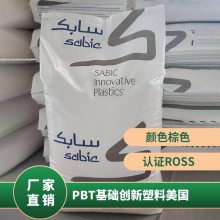 PBT A(ch)(chung)() 420SEO-80310 ȼ  ʳC R_