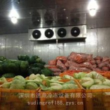 东莞大朗常平寮步大岭山冷库安装 冷库工程 冷库设计施工 冷库建造