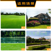 Ƶ 22硯ֵʽKohler XT775 ʽݻ