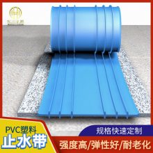 PVC塑料止水带 聚氯乙烯防止水带 建筑水利防水 300宽pvc防水板