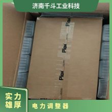 PION 汽车工业 石油化工 机械设备 玻璃熔化用 电力调整器D3W-050-00