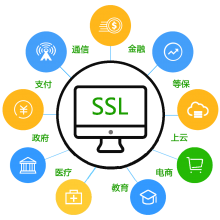 SSL֤飨GlobalSignDigiCertGeoTrus