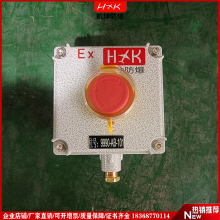 IP66ڹʽ Ͻͣť亽