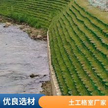 铁路路基桥梁堤坝加筋固土世杰土工格室护坡植草蜂巢网格约束系统