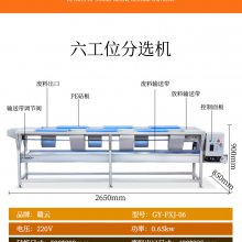 鲢鱼头如何自动自动化加工，商用鱼头加工生产线设备