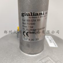 ȼѹgiulianiFG1B50/40