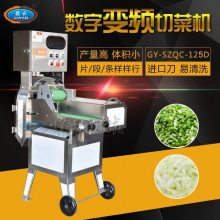 单头数字变频切菜机商用叶菜切割设备流水线切青菜豆角辣椒茄子机器
