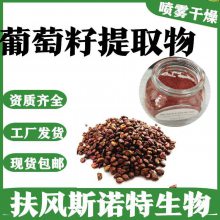 葡萄籽提取物 原花青素95% 斯诺特十余年生产经验 仓库发货