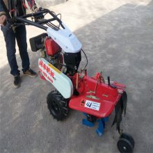 自走式旋耕开沟培土机 大姜种植开沟犁地田园机