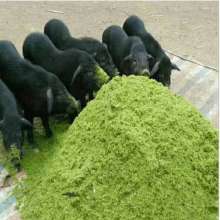 õʹõķ ͭо ӿϿաݻ