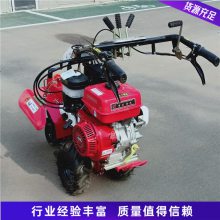 Ͳݮ¢ СͿ ũÿ¢